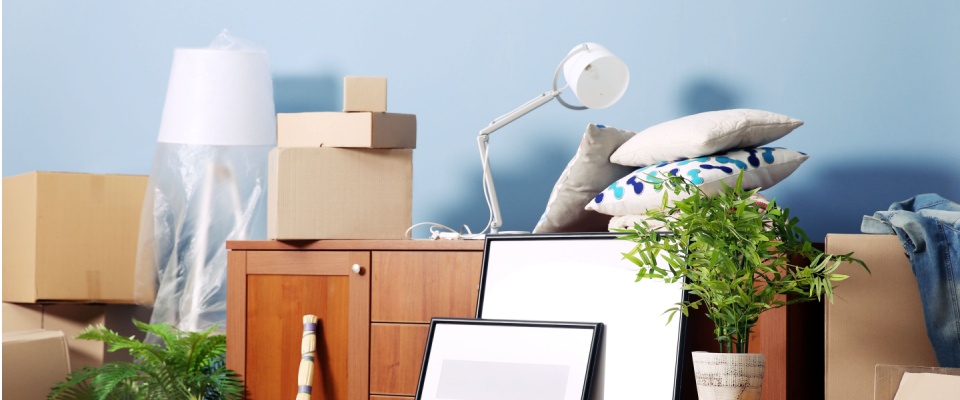 Assorted moving boxes, houseplants, lamps, pillows, and framed art arranged on and around a wooden cabinet in a bright room, visually representing the process to transfer renters insurance to a new address.