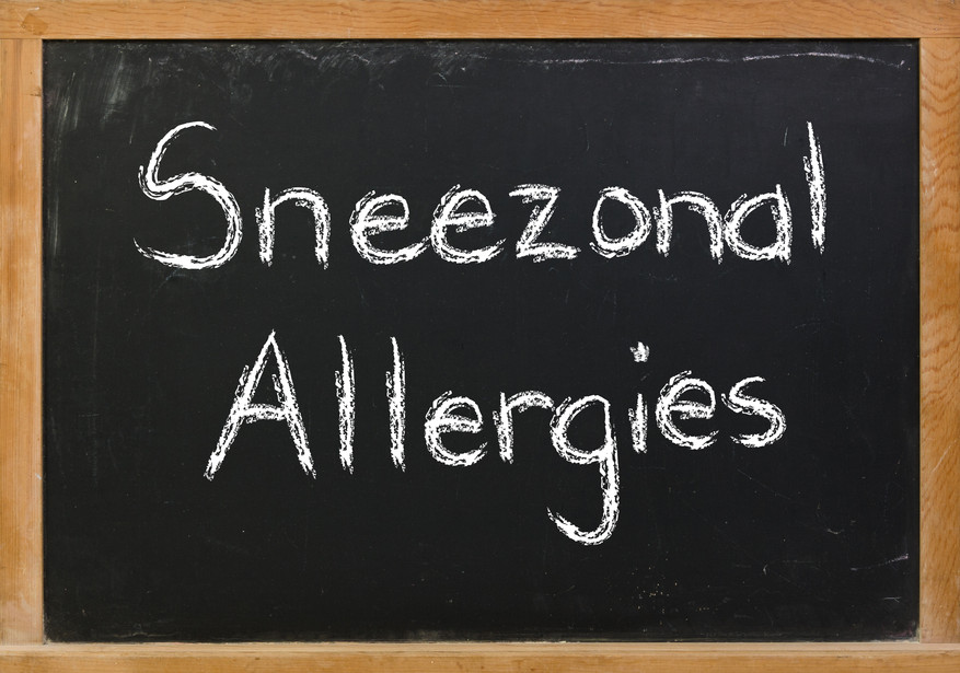 Spring allergy remedies