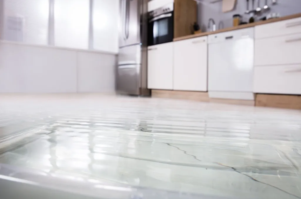 Navigating Water Damage: Does Renters Insurance Cover Flooding?