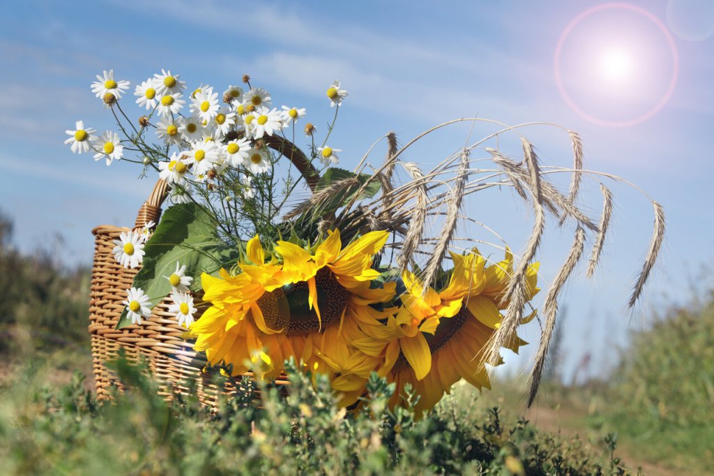 From Summer Blooms to Fall Harvest Masterpiece