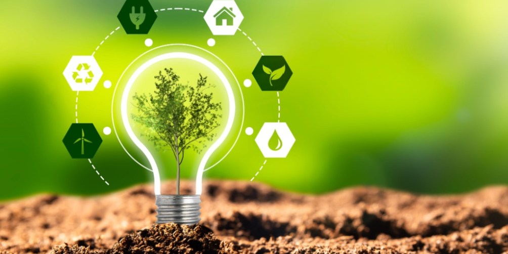 Illustration of renewable versus nonrenewable resources featuring a light bulb with a tree growing inside it, surrounded by renewables icons such as solar power, wind power, and hydropower.