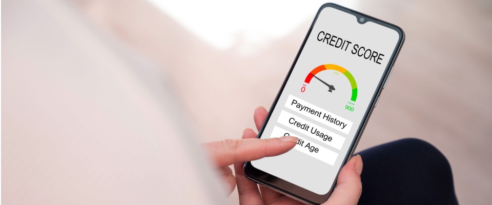 A person using a mobile phone to check their credit history, while considering if they should get a guarantor or a cosigner.