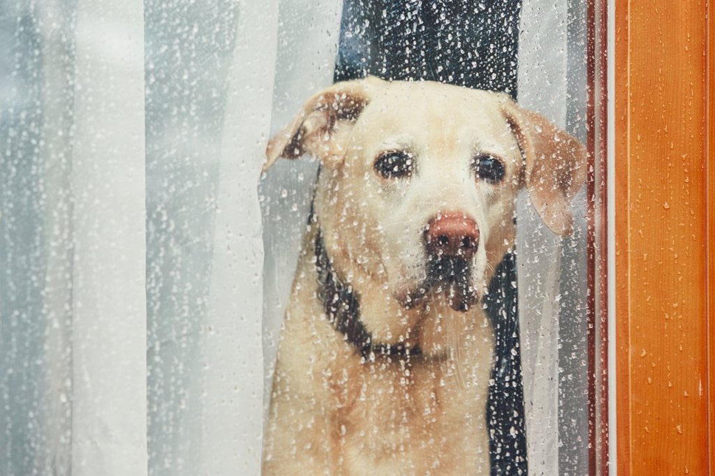 Is your home ready for the rainy season?