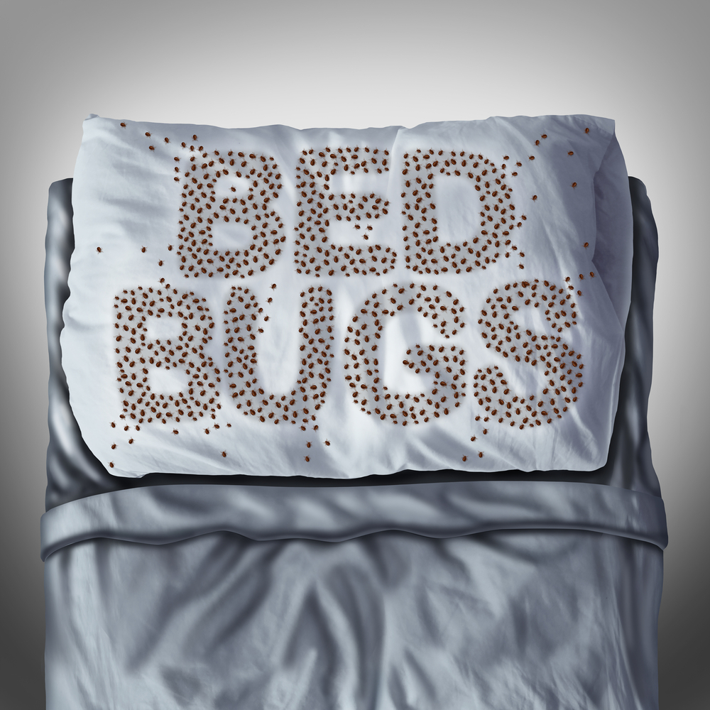 Renters insurance vs bed bugs