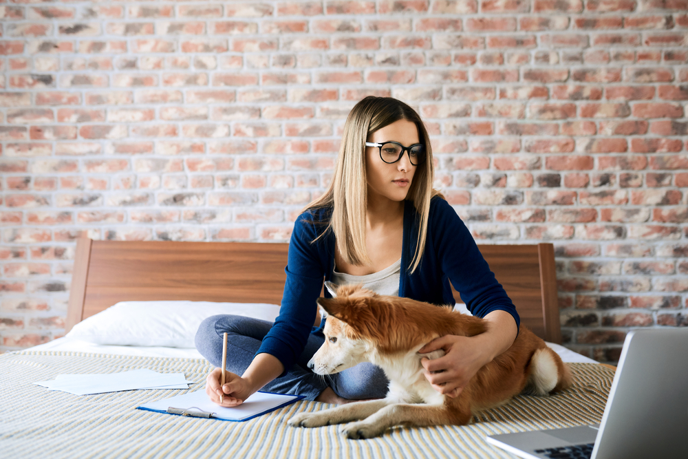 Why Pet Owners Need Renters Insurance